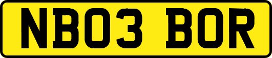 NB03BOR