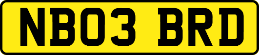 NB03BRD