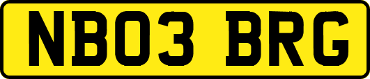 NB03BRG
