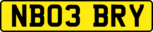 NB03BRY