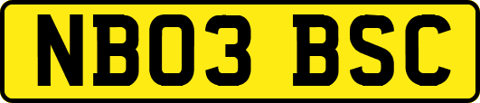 NB03BSC
