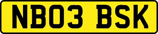 NB03BSK