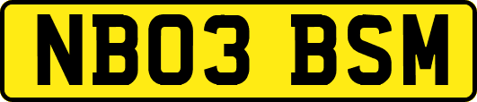NB03BSM