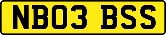 NB03BSS