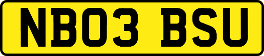 NB03BSU