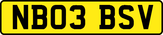 NB03BSV