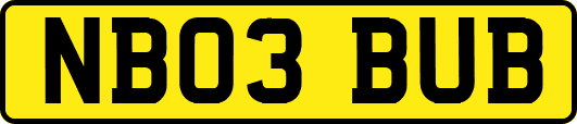 NB03BUB