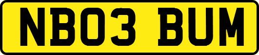 NB03BUM