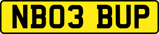 NB03BUP