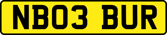 NB03BUR