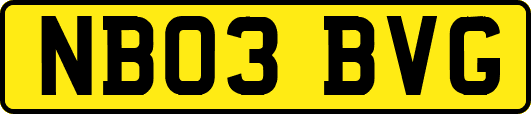NB03BVG