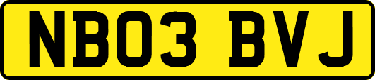 NB03BVJ