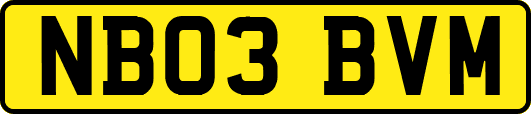 NB03BVM