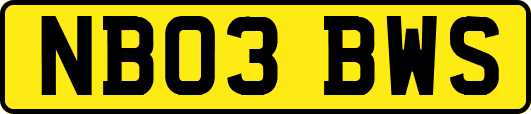 NB03BWS