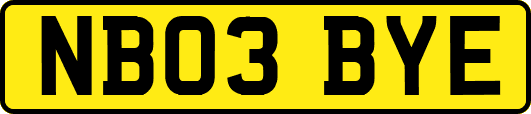 NB03BYE