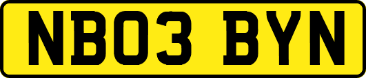NB03BYN