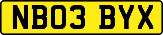 NB03BYX