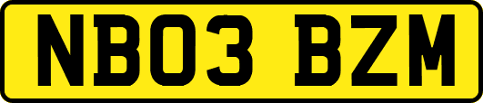 NB03BZM