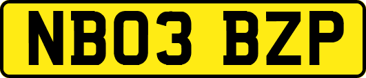 NB03BZP