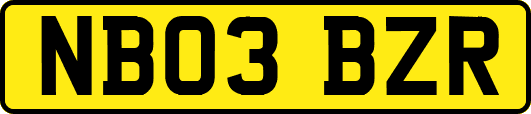 NB03BZR