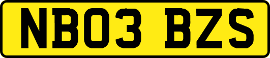 NB03BZS