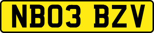 NB03BZV