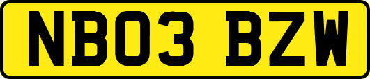 NB03BZW