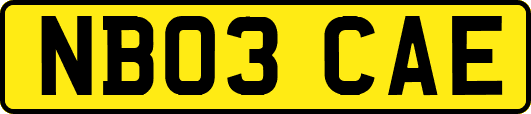 NB03CAE