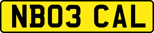 NB03CAL