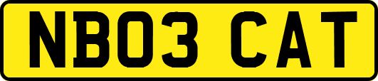 NB03CAT