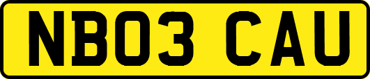 NB03CAU