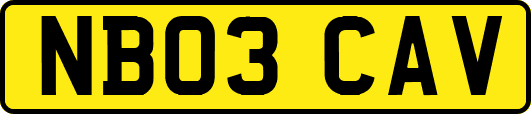 NB03CAV