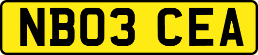 NB03CEA