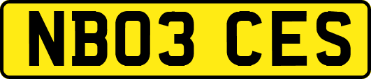 NB03CES