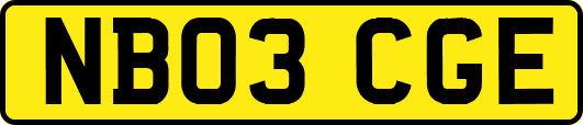 NB03CGE
