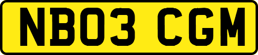 NB03CGM