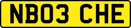 NB03CHE