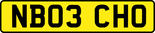 NB03CHO
