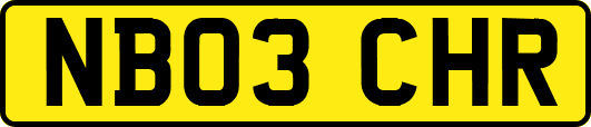 NB03CHR