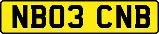 NB03CNB