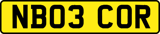 NB03COR