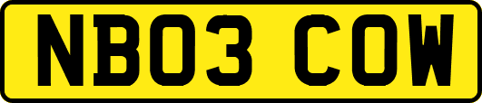 NB03COW