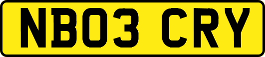 NB03CRY