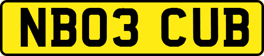 NB03CUB