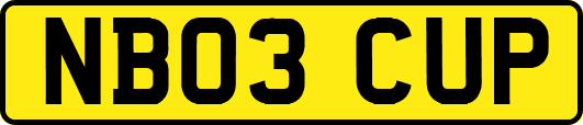 NB03CUP