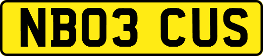 NB03CUS