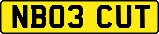 NB03CUT