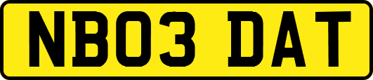 NB03DAT
