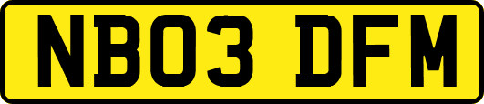 NB03DFM