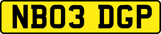 NB03DGP